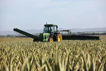 A farm vehicle harvesting crops in a field.